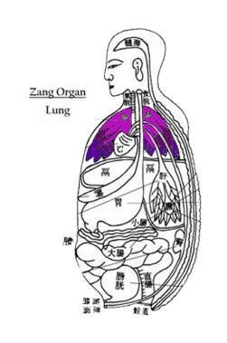 Lungs-Zang Fu copy